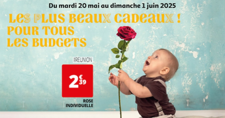 Du 19/05 au 01/06